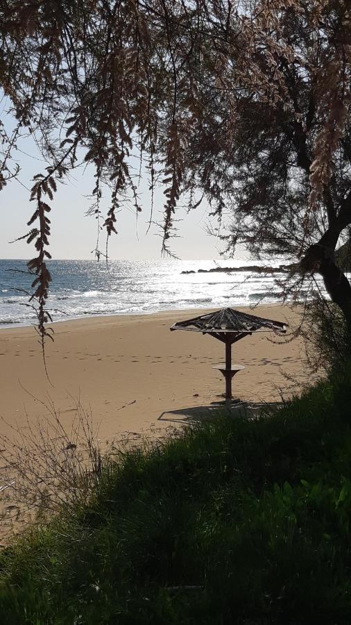 Villa Armonia فيتالاذيس المظهر الخارجي الصورة
