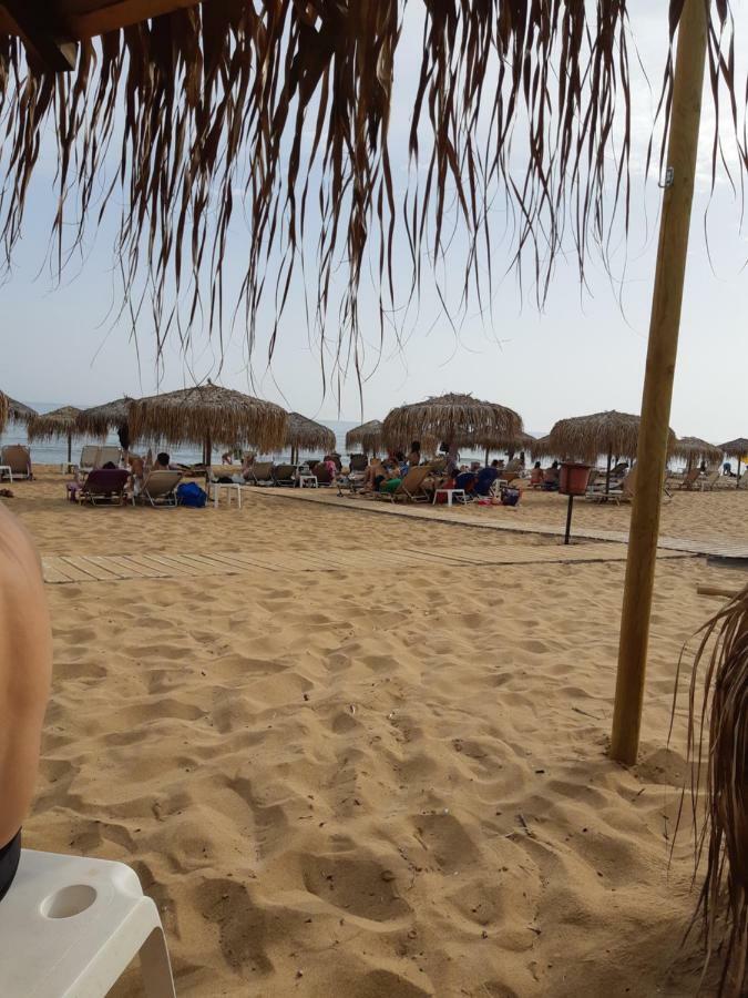 Villa Armonia فيتالاذيس المظهر الخارجي الصورة